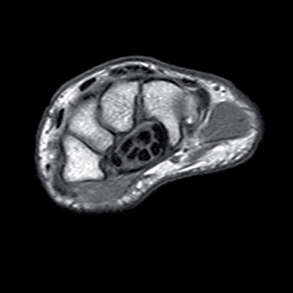 Galéria ZION CLINIC